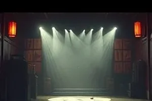《春分夜的电台》封面，老式收音机与窗外的樱枝